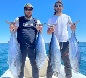 Salir de pesca en charter alcocebre